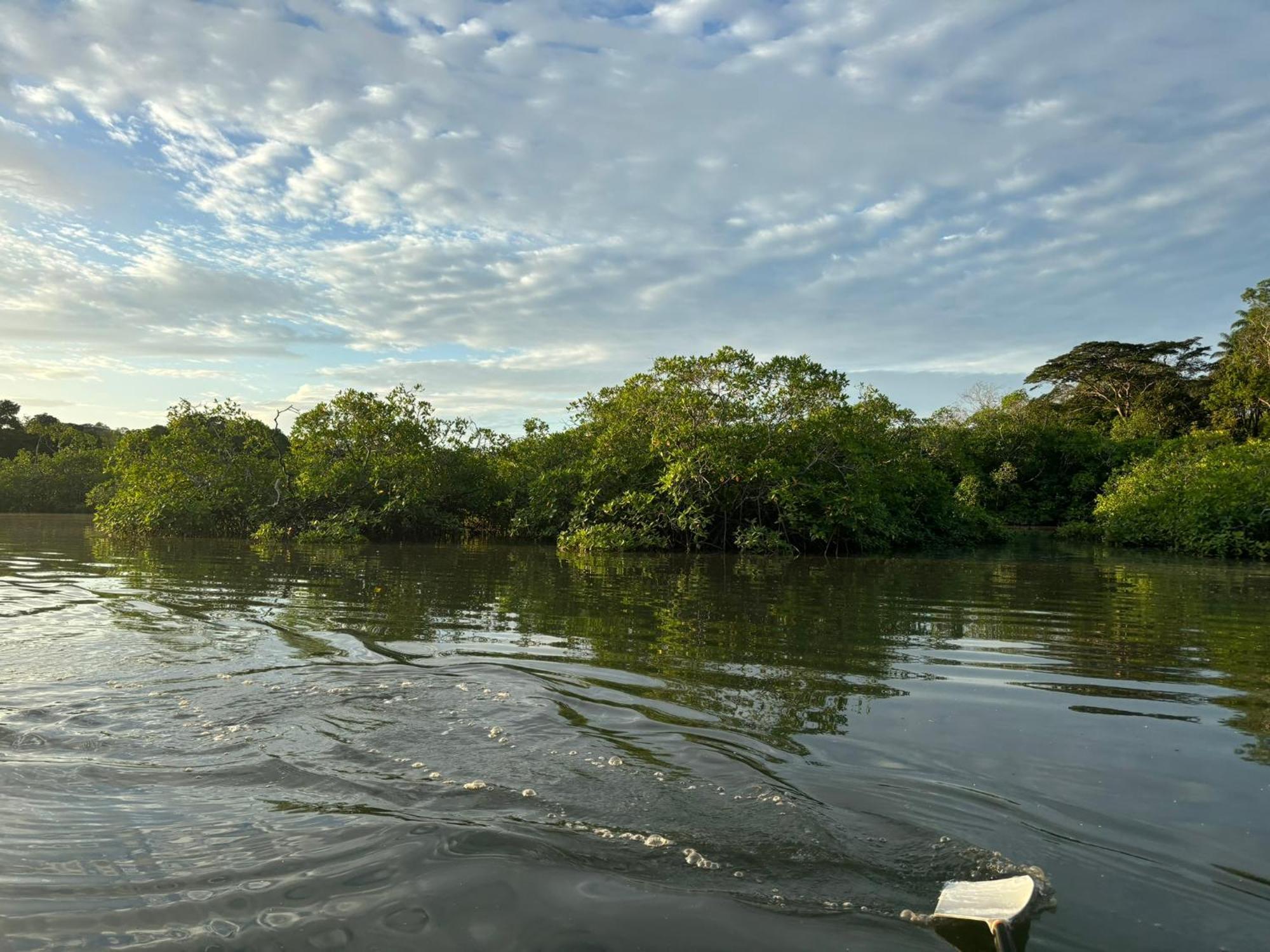 Seagull Cove Resort Boca Chica Buitenkant foto